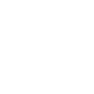 Logo Fight Art